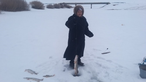 بالىقشى اجەي