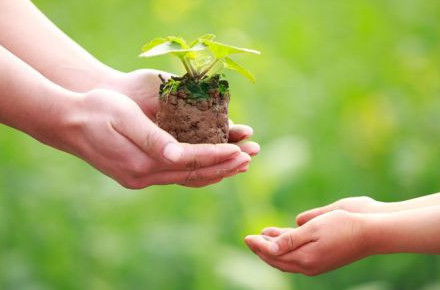 ونكۇندىك اياسىندا  ون وتباسىنا كومەك كورسەتتى