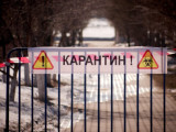 شىڭعىرلاۋ مەن جانىبەكتە كارانتين كۇشەيەدى