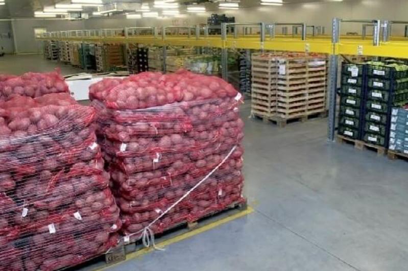 جامبىل وبلىسىندا ءبىر اۋىلدا 100-گە جۋىق كوكونىس قويماسى بار