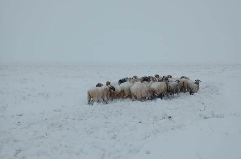 اتىراۋدا 60 جاستاعى شوپان ءىز-ءتۇزسىز جوعالىپ كەتتى