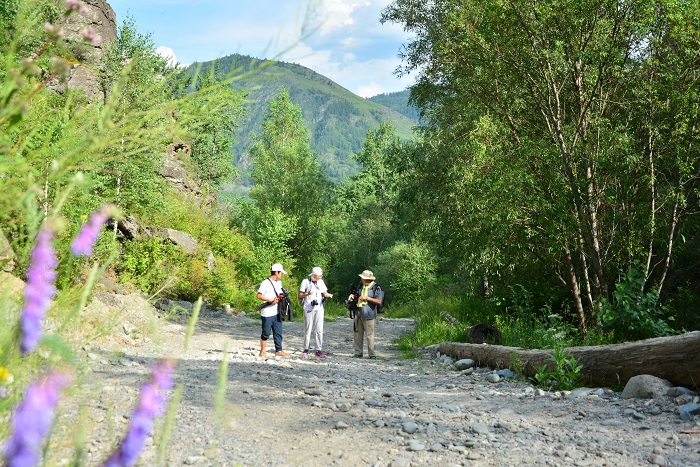 تۇكپىردەگى ەلدى تۋريزم اسىرايدى