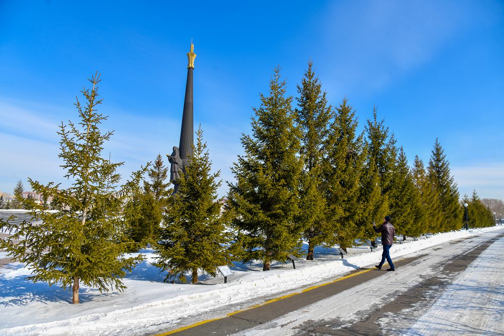 شەتەل باسشىلارى ەككەن اعاشتار