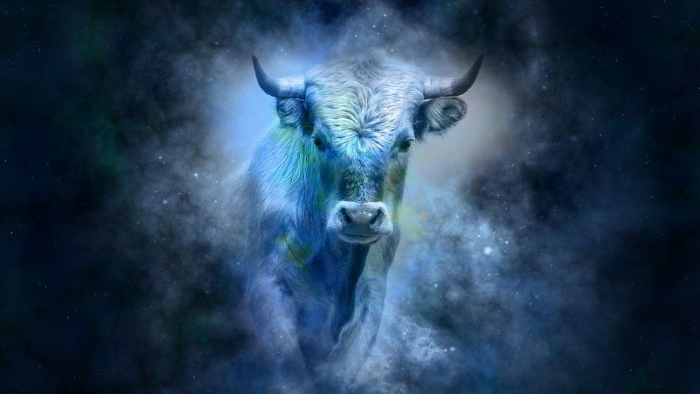 قىزىقتى مالىمەتتەر