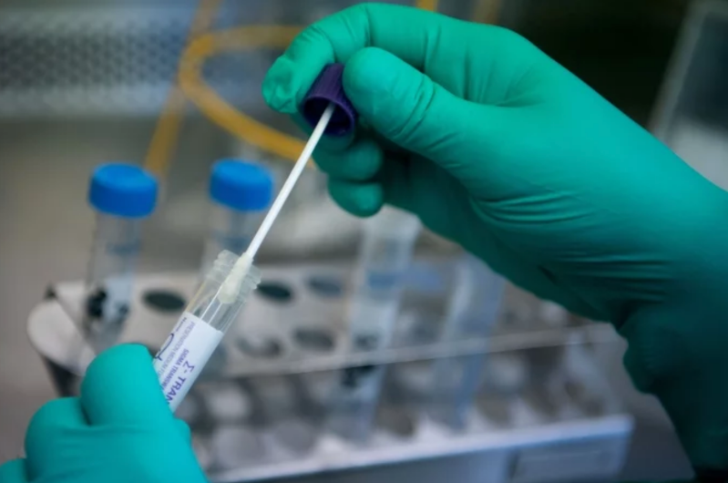 لاۋرا مىرزاعالي: الماتى تۇرعىندارىنا ۆاكتسينا ساۋدا ويىن-ساۋىق ورتالىعى مەن بازارلاردا سالىنادى