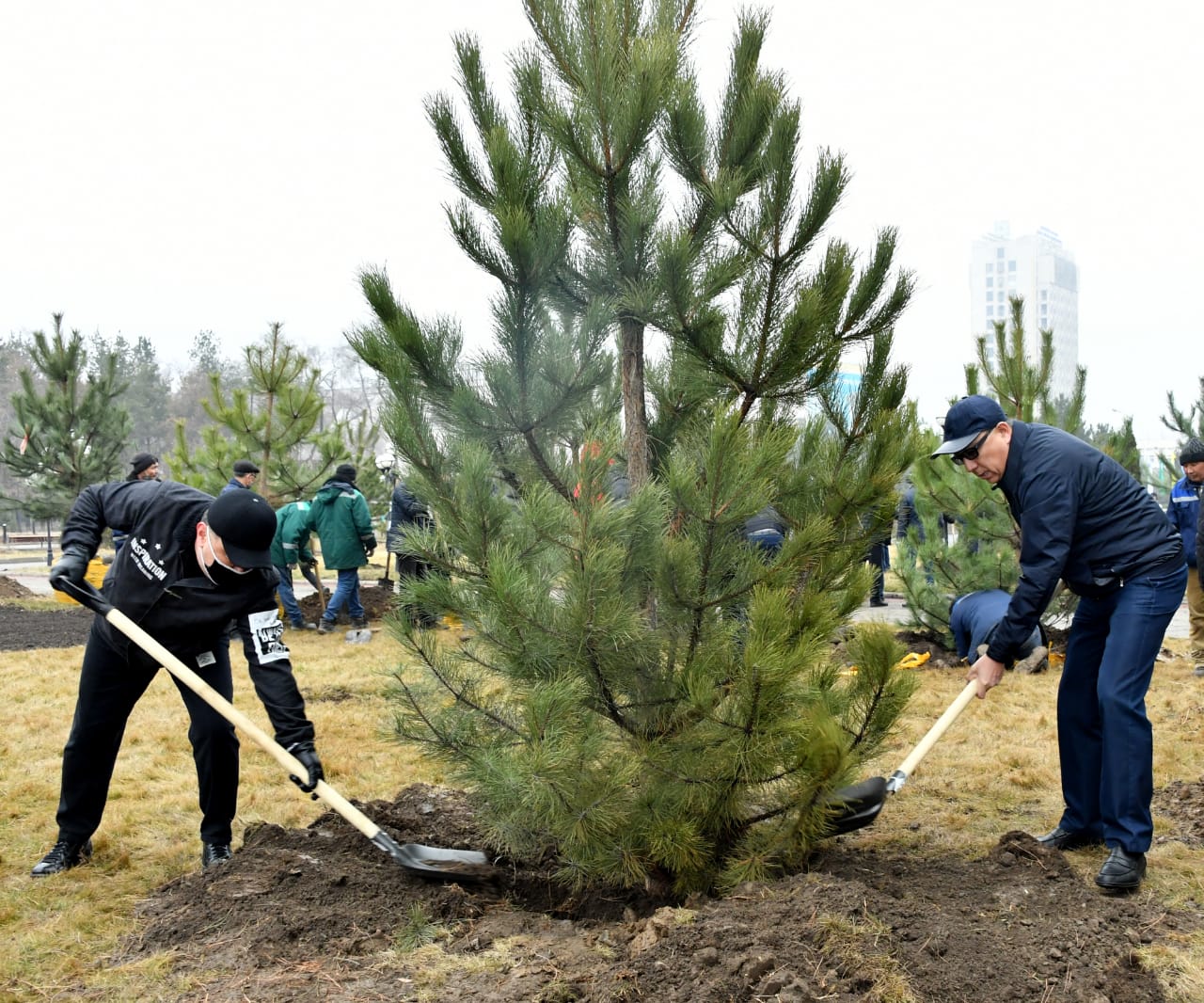 قازۇۋ قالاشىعىندا اعاشتار اللەياسى اشىلدى
