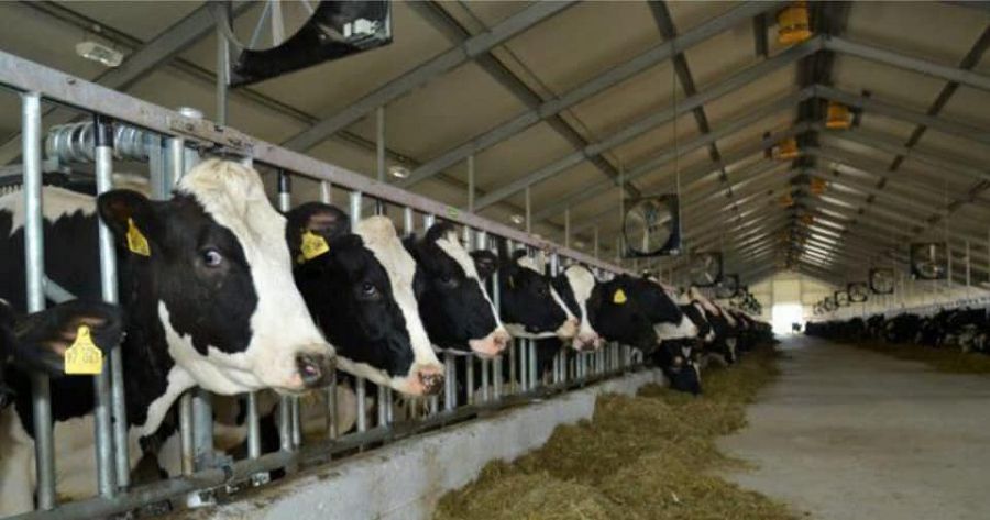 اۋدان بيۋدجەتىن ارتتىردى