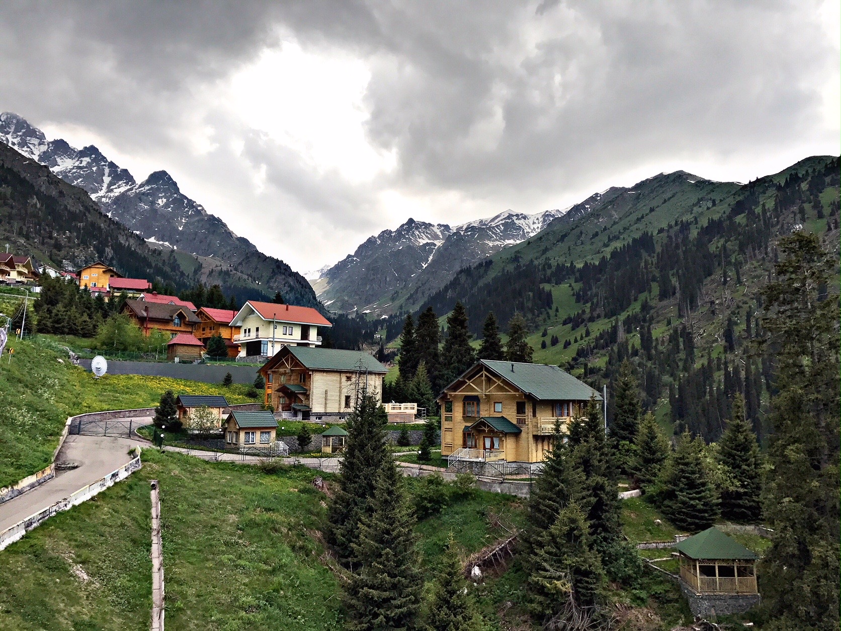شىمبۇلاقتاعى شىرشالاردىڭ  باۋداي كەسىلگەنى راس پا؟