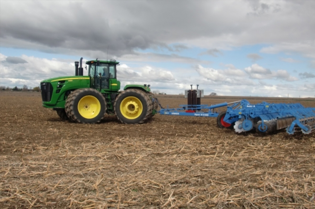 مايلى داقىل القابى ۇلعايادى