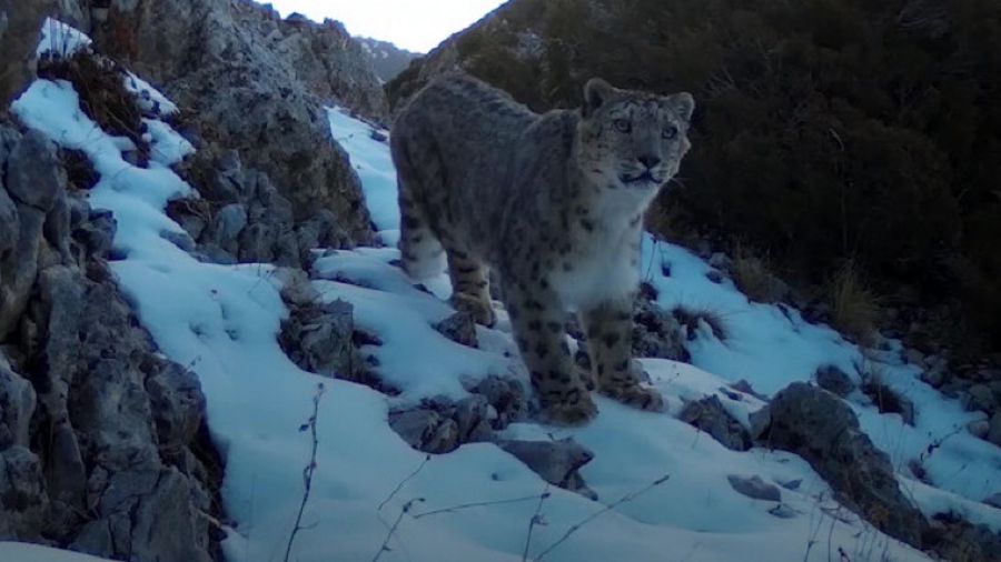 بارىسىمىز باردا – نامىسىمىز بار