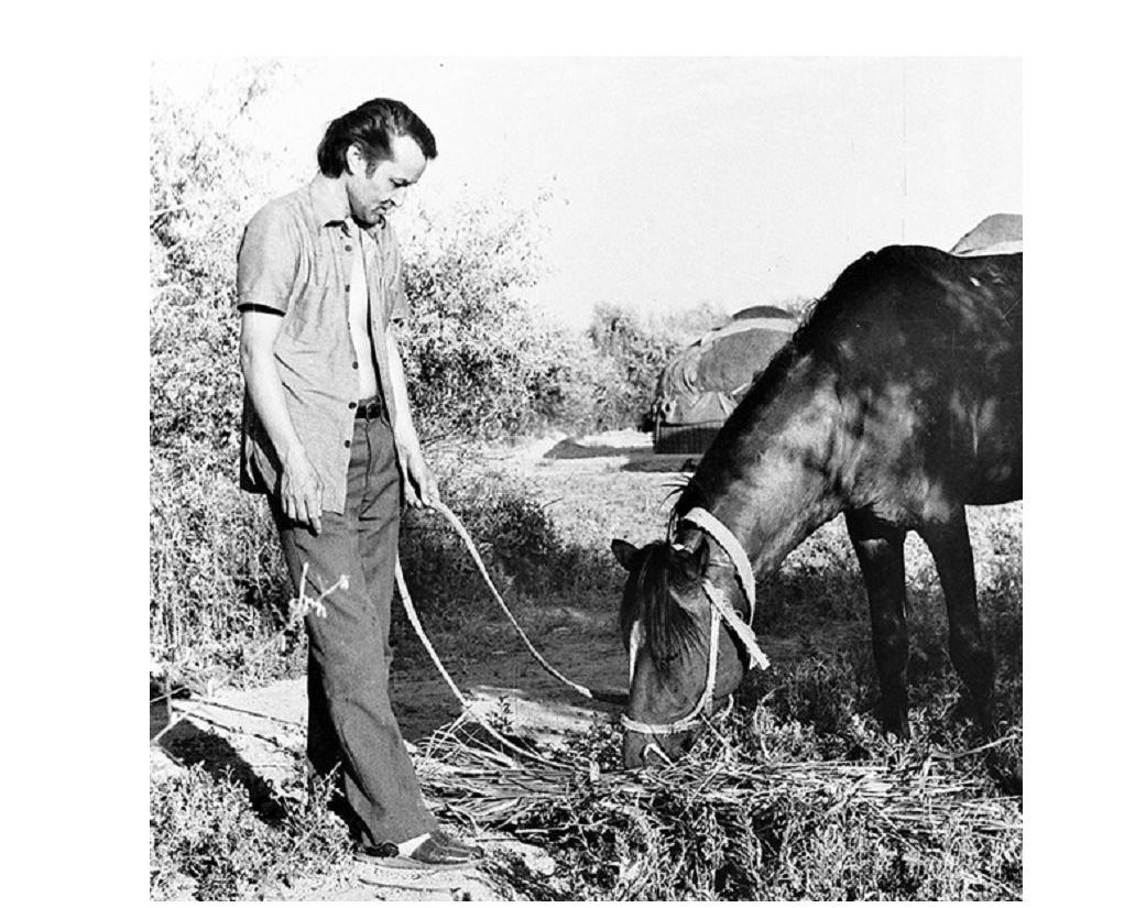 اسقار سۇلەيمەنوۆكە ورالۋ