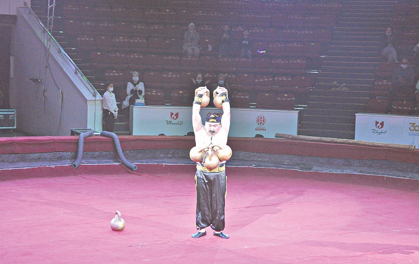 كۇش اتاسىنا ارنالعان قويىلىم ۇسىنادى