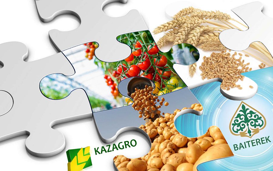 «بايتەرەك» اگروونەركاسىپكە «اۋىز سالدى»