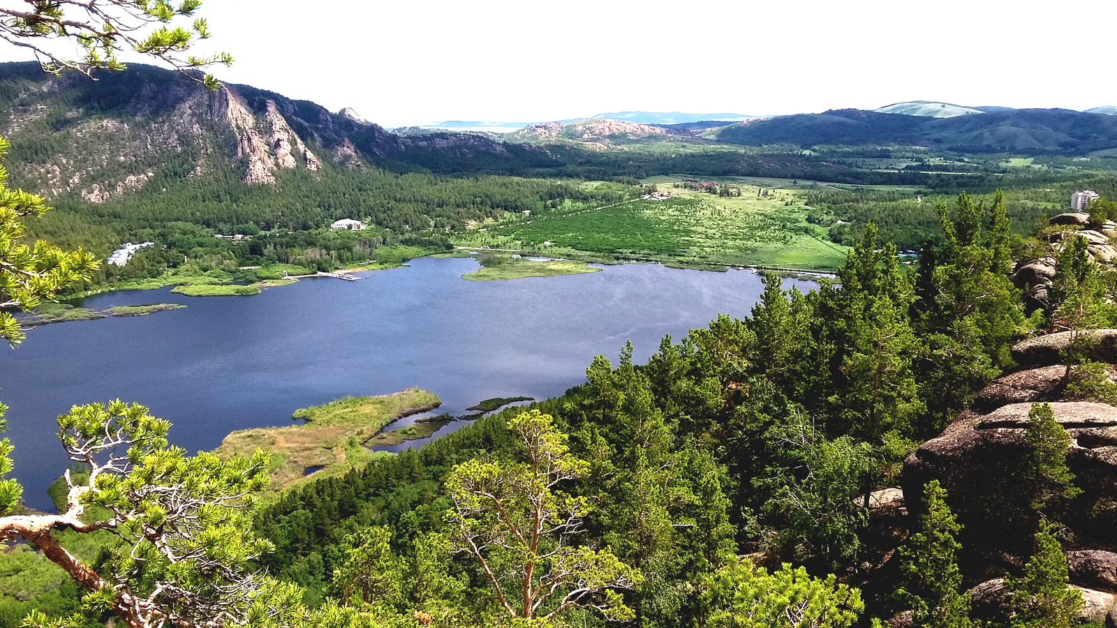 تابيعاتتىڭ تورەسى