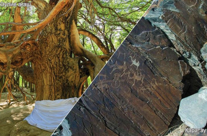 جاسىل جەلەك – جانعا داۋا