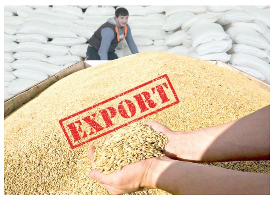 ەكسپورت الەۋەتىن ارتتىراتىن شەشىم