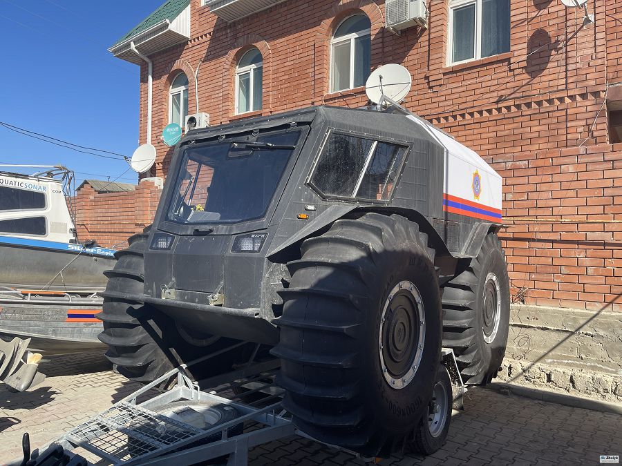 جول تالعامايتىن كولىك