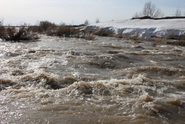 جەدەل ارەكەت ەتۋ توپتارىنىڭ جۇمىسى پىسىقتالدى