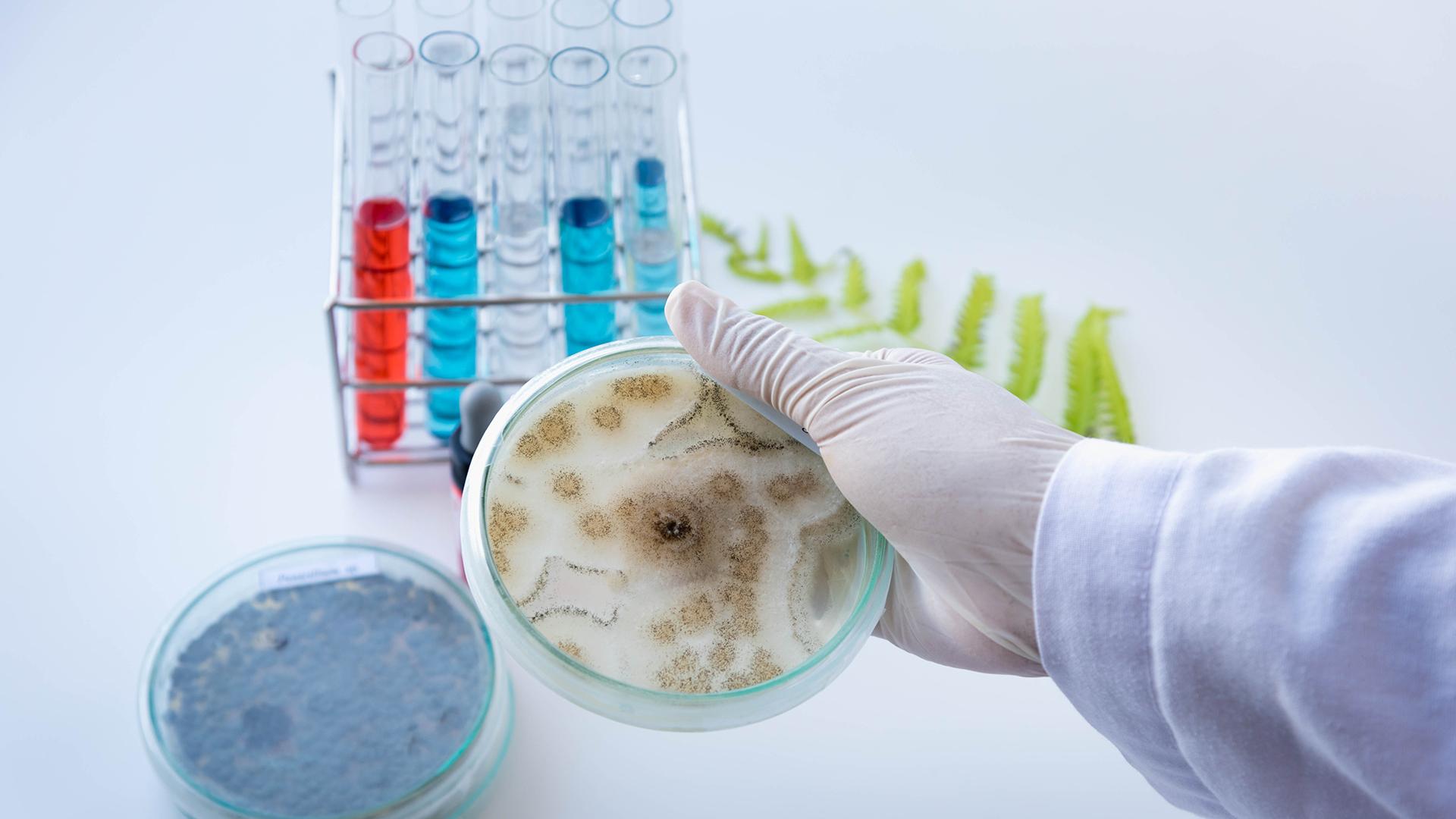 ۆاكتسينا ەل عىلىمىنىڭ بارومەترىنە اينالدى