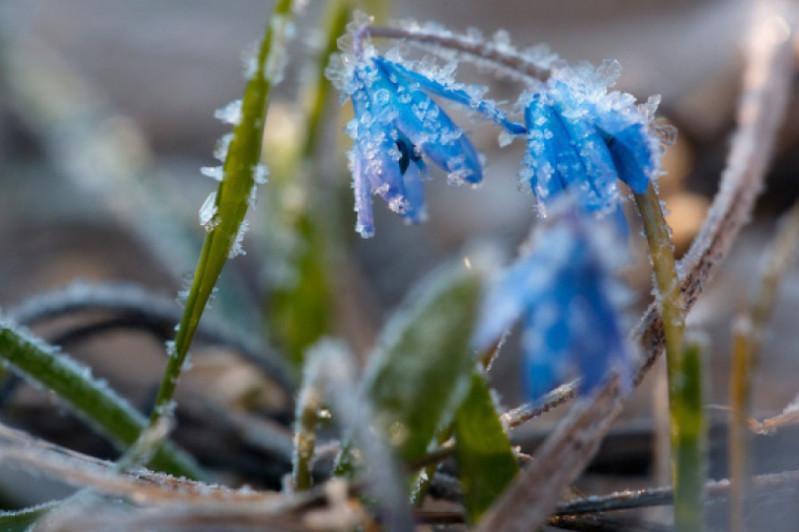 قازاقستاننىڭ وڭتۇستىگىندە كۇن سۋىتادى