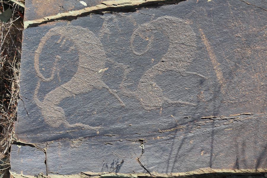 تارباعاتايدىڭ تاڭبالى تاستارى