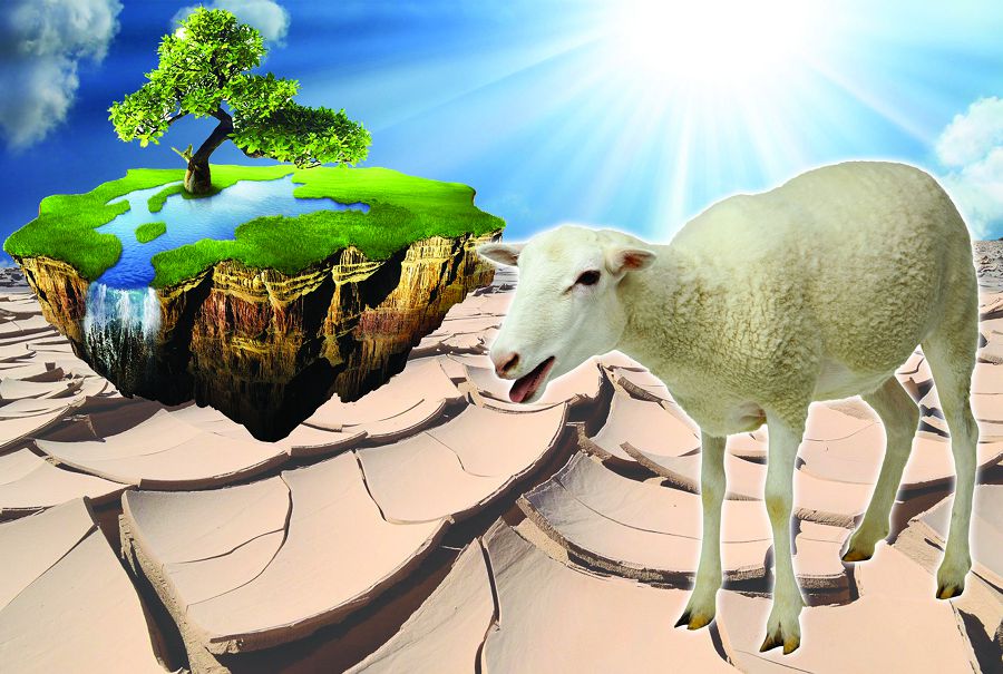 مالىن باعار جايىلىمى جوق شارۋا قايتىپ كۇن كورەر؟!