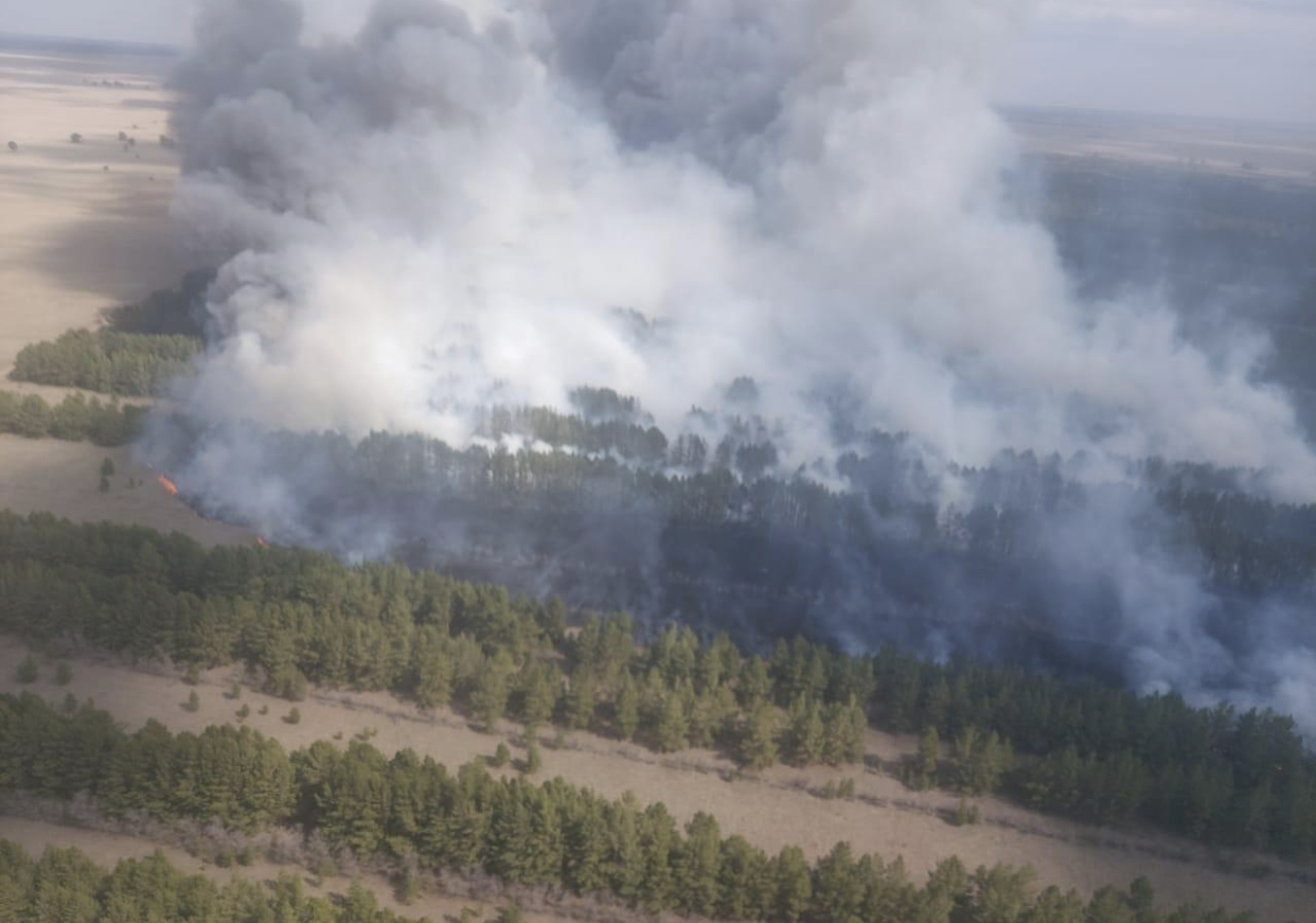 شالداي ورمانى تاعى دا ورتكە وراندى