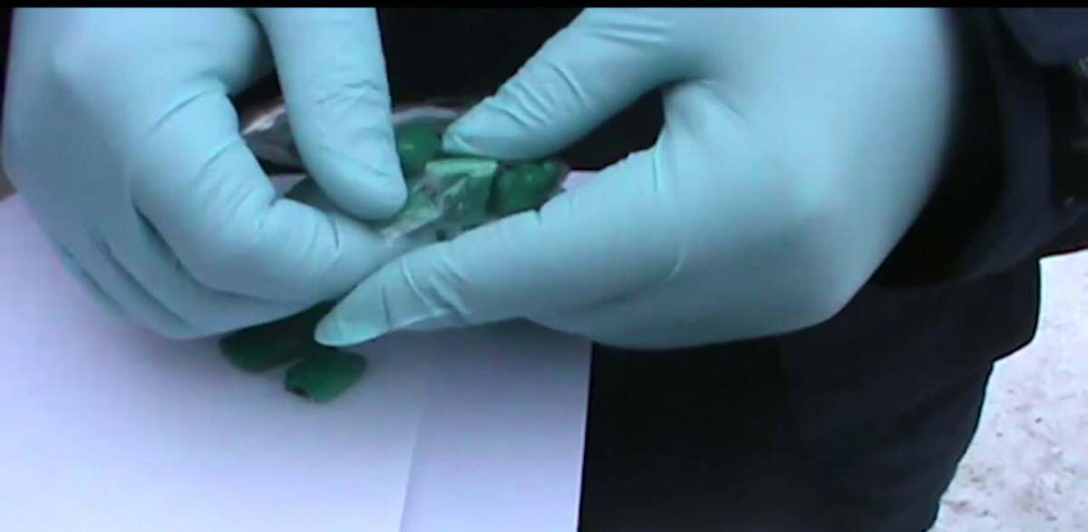 پەتروپاۆلدا ەسىرتكى زەرتحاناسى انىقتالدى