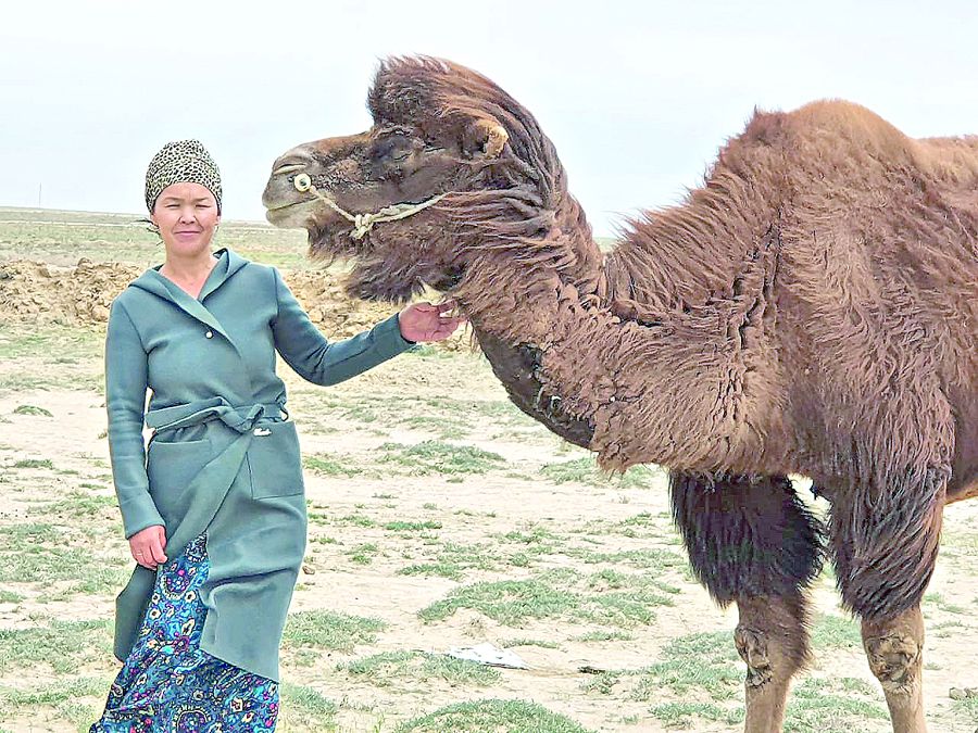 مەملەكەت كەپىلدىگىمەن كاسىپ اشقان انا