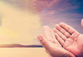 شۇكىرشىلىك