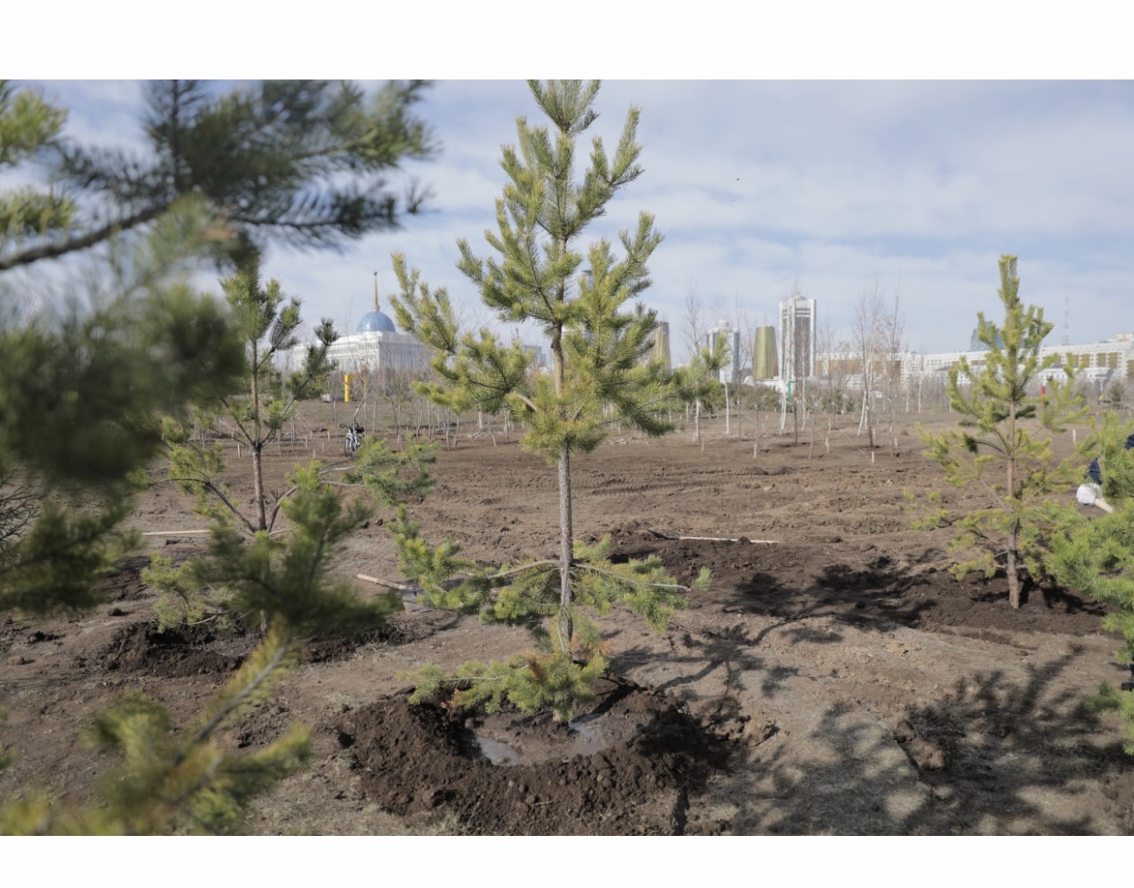 قر مەملەكەتتىك قىزمەت ىستەرى اگەنتتىگىنىڭ قىزمەتكەرلەرى سەنبىلىك وتكىزدى