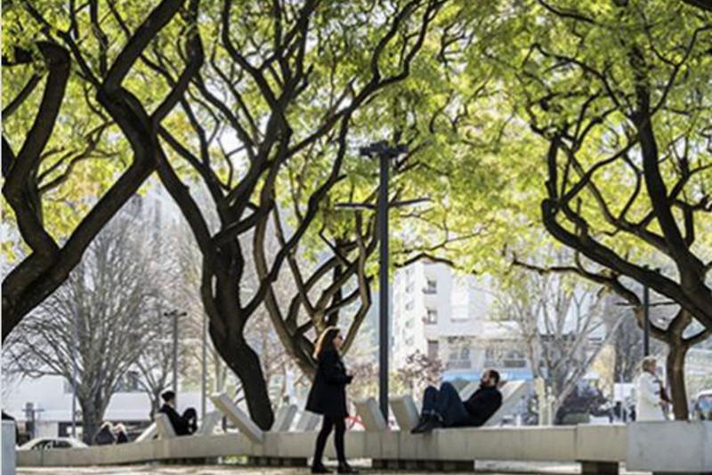 ەلوردادا 300 ەمەن اعاشى وتىرعىزىلادى