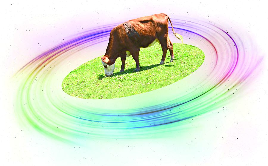 جايىلىمنىڭ ازدىعى جانعا باتادى