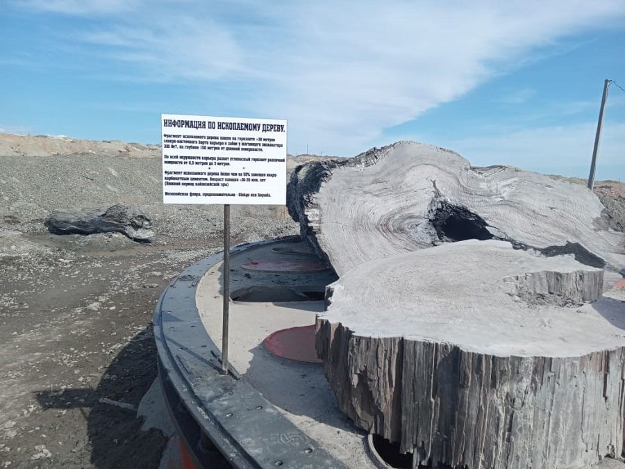 كەنىش قويناۋىنان تابىلعان ولجا