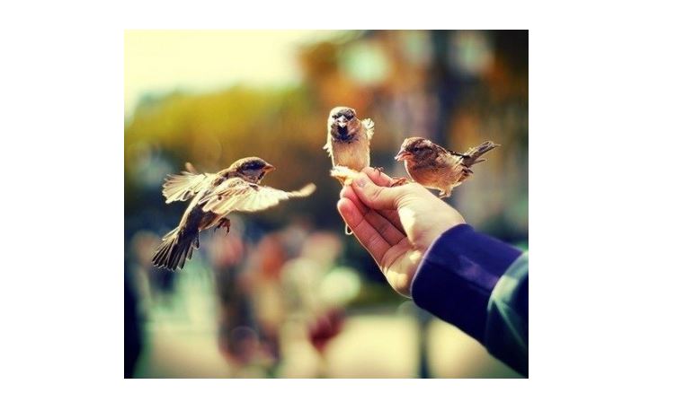 سۋلتىگوۆتار اۋلەتىنىڭ سالتى