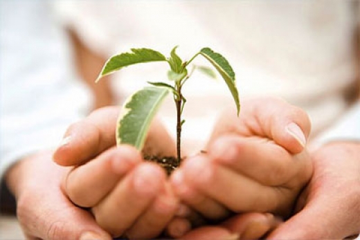 ۇلگى بولار يگى ءىس