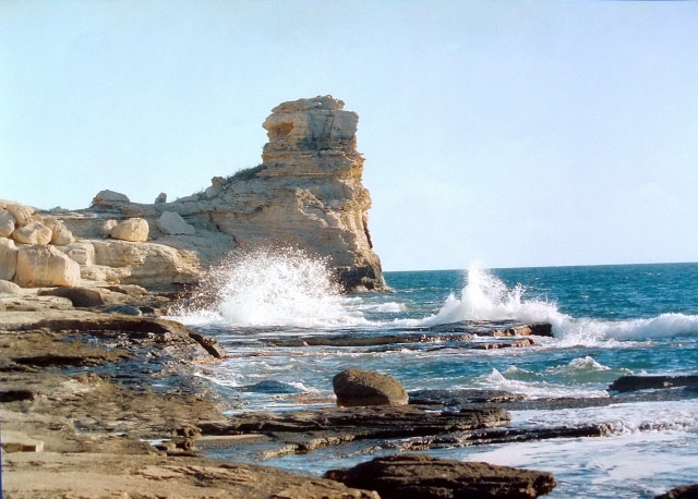 تەڭىز كۋرورتىن دامىتۋدىڭ ىرگەلى جوبالارى جۇزەگە اسۋدا