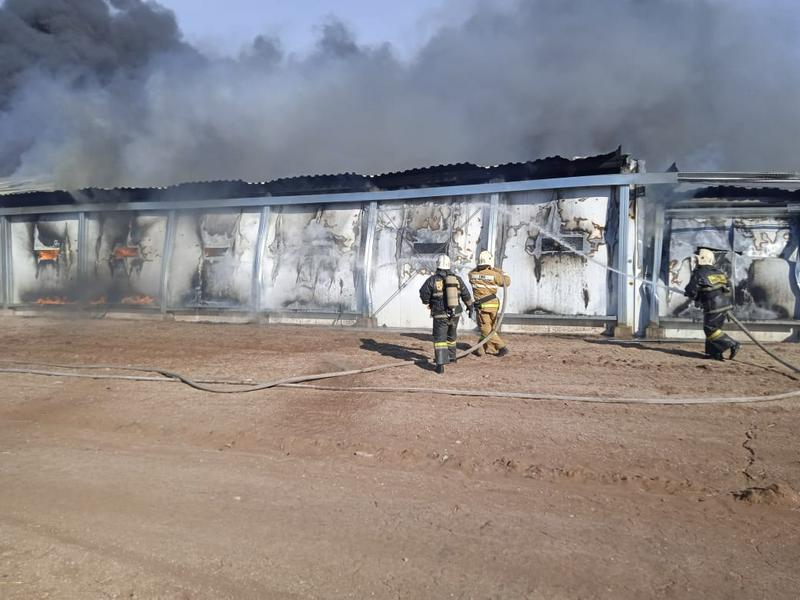 ماكينسكىدەگى قۇس فابريكاسىندا ءورت بولدى