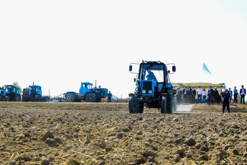 قىزىلوردادا كۇرىشتى كوشەتتەپ ەگۋ قولعا الىندى