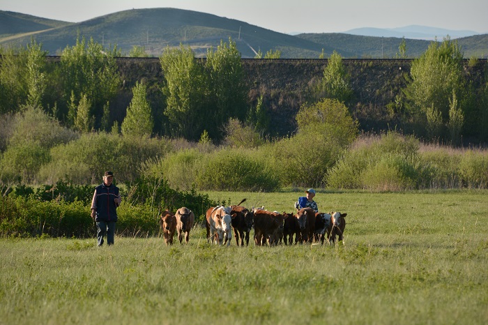 شابىندىق پەن تابىندىق جەر جەتپەيدى