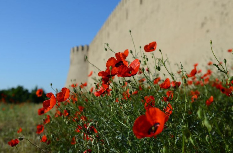 شۇبايقىزىل قىزعالداعى