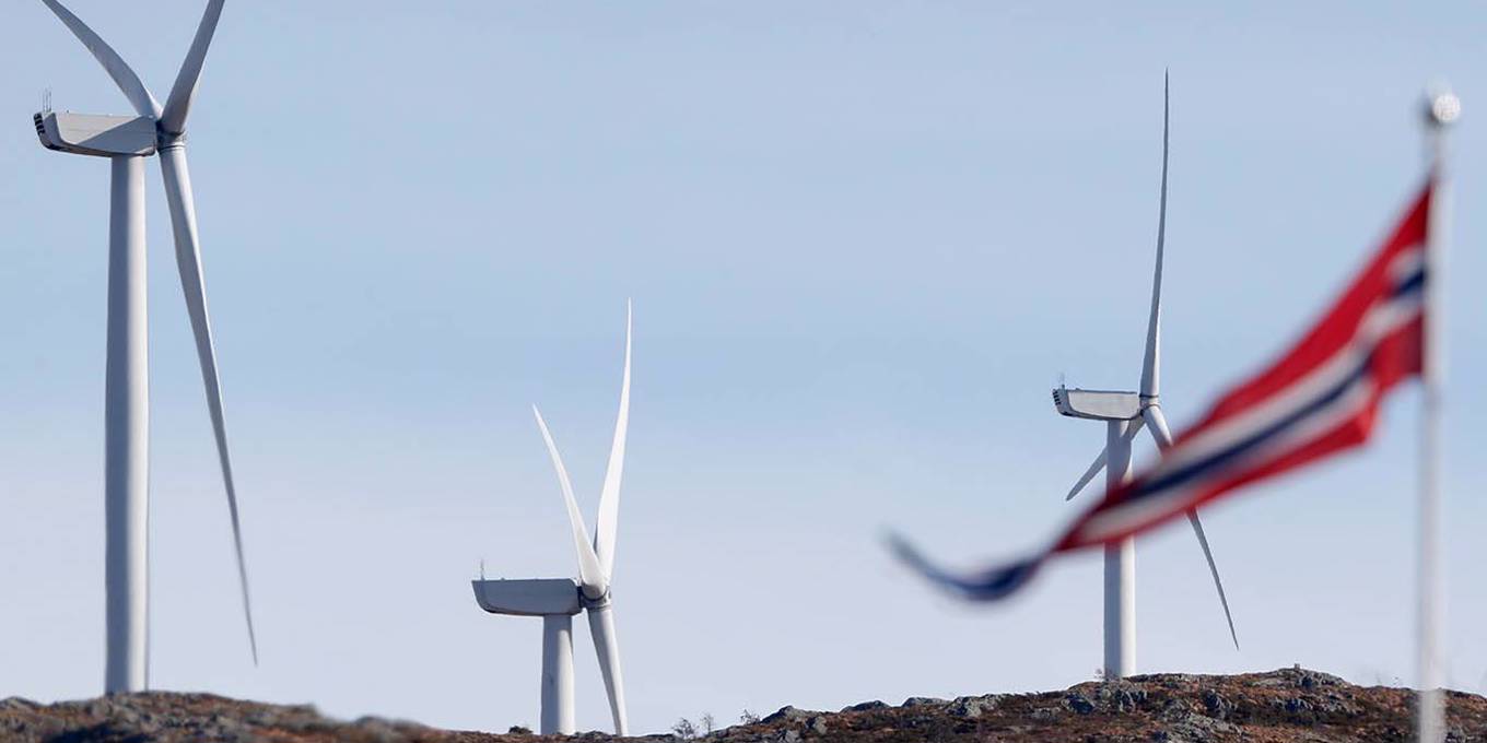 نورۆەگيالىق «جاسىل الپاۋىتتى» قالاي وياتامىز؟