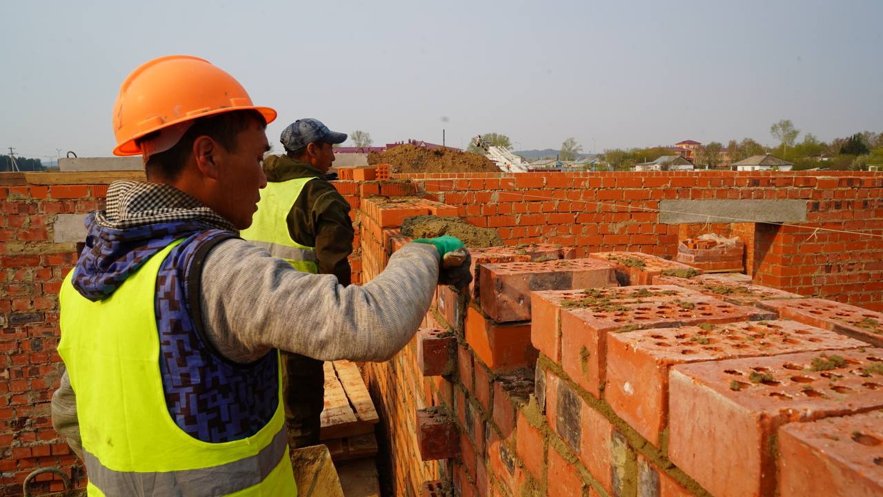 جاڭارعان ولكەدەگى جاسامپاز تىرشىلىك