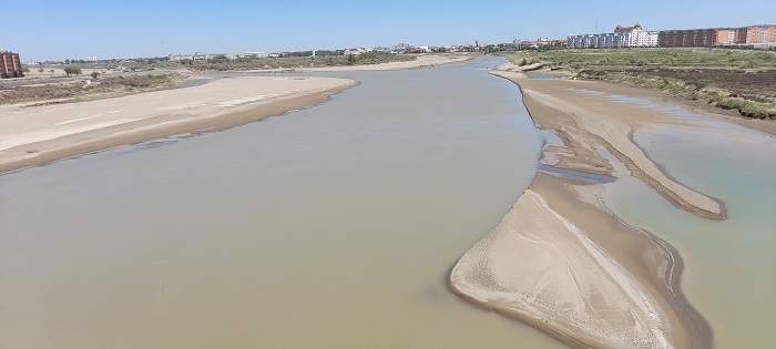 سىرداريا, ساعان نە بولدى؟