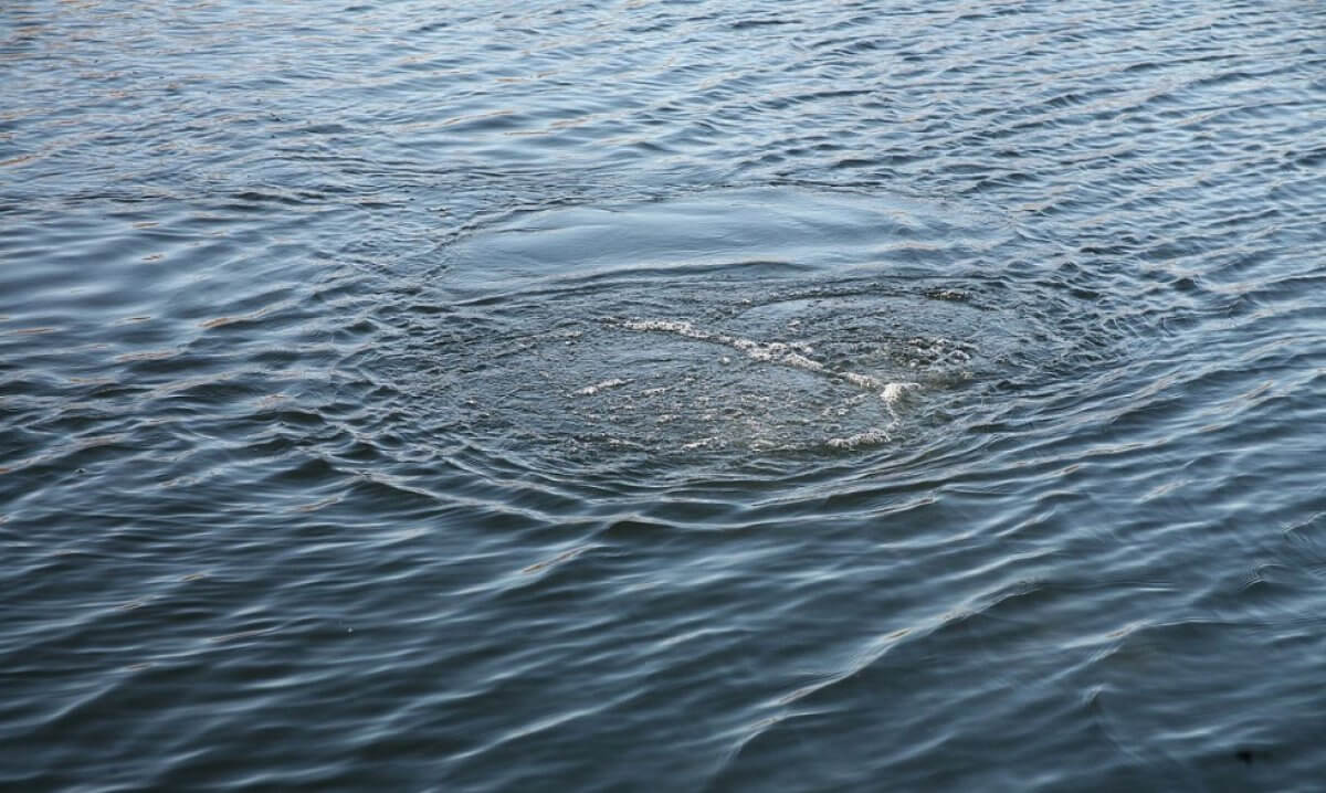 ەسىل وزەنىنىڭ جاعاسىندا سۋرەتكە تۇسپەك بولعان ەكى بويجەتكەن سۋعا كەتتى