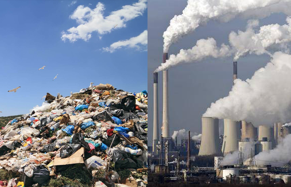 قوقىس ورتەيتىن زاۋىت كەرەك پە؟