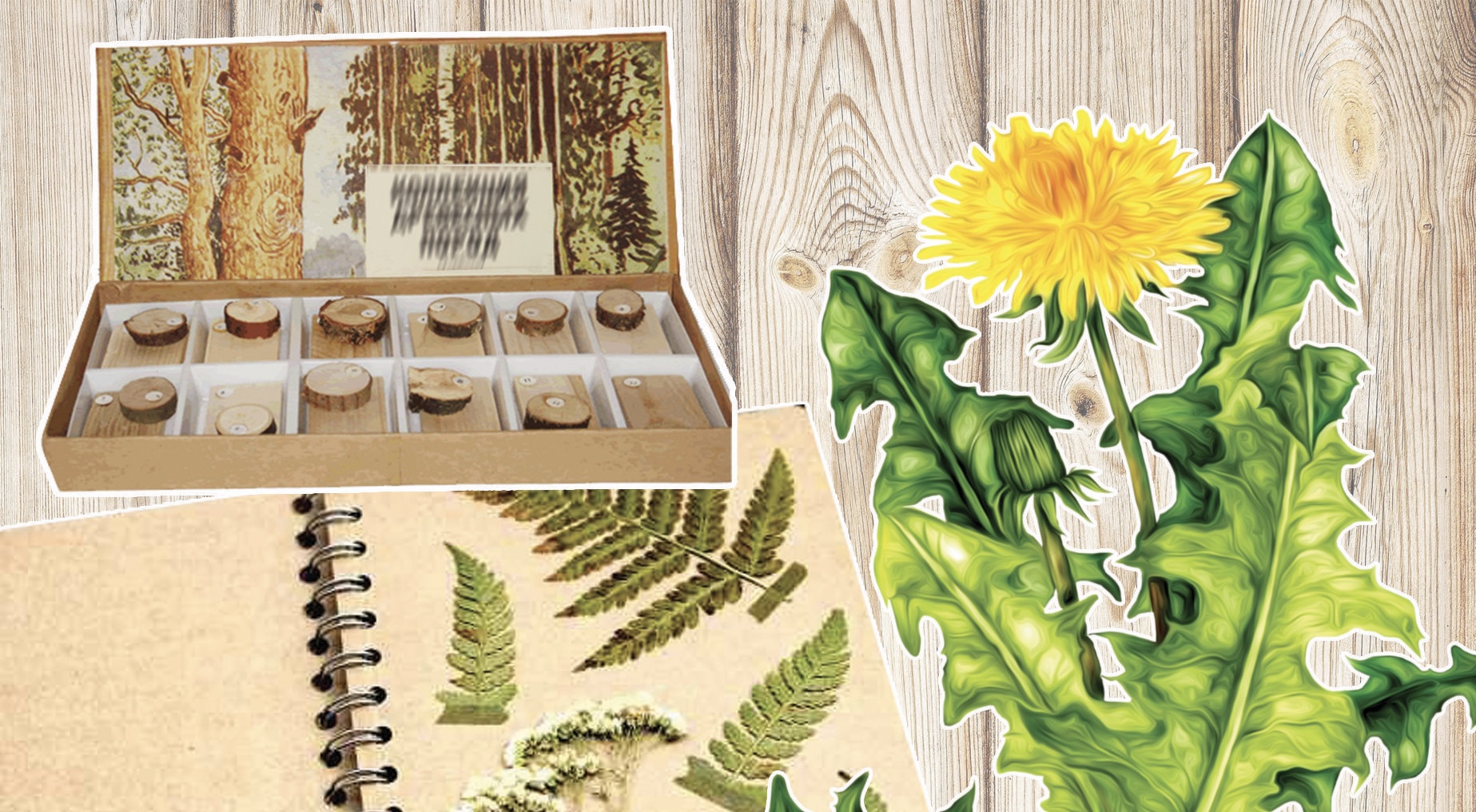 گەرباري قورى مەن تۇقىم بانكىن دامىتۋ قاجەت