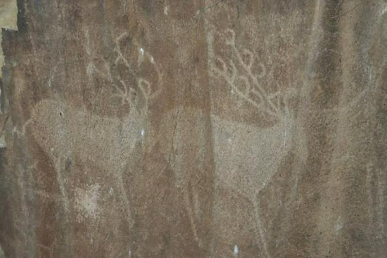 ارقارلى اسۋىنداعى پەتروگليفتەردى ساقتاۋ مەملەكەتتىك ورگانداردىڭ باقىلاۋىنا الىندى