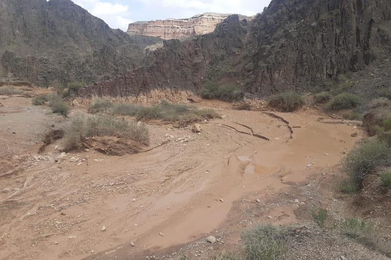 شارىن شاتقالىندا سەلمەن اعىپ كەتكەن وقۋشى قىز تابىلدى