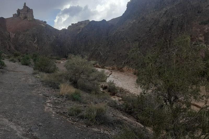 شارىنداعى سەل: وقۋشى مەن مۇعالىم قايتىس بولدى